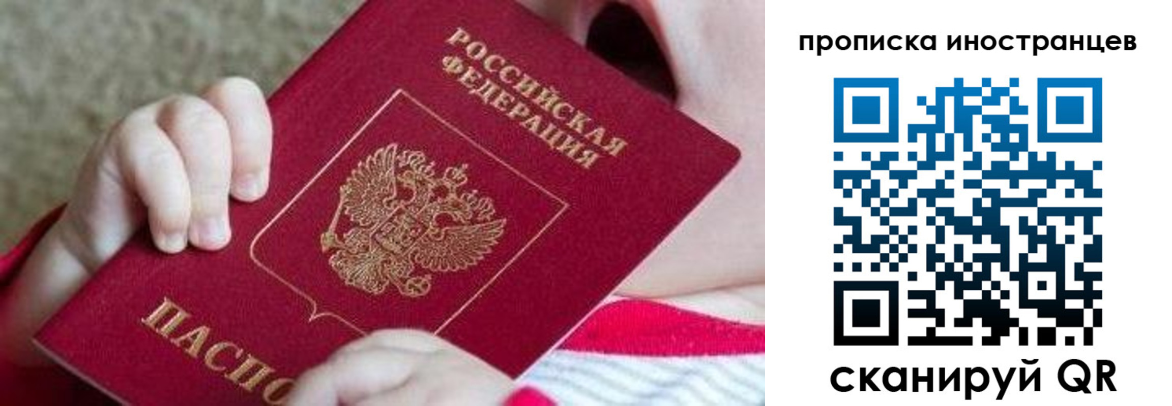 временная регистрация поиск в Электростали